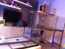 [TodoMarino.com] Nuevo desde Rubi (barcelona)