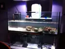 [TodoMarino.com] Nuevo desde Rubi (barcelona)
