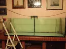 [TodoMarino.com] silicona acuario