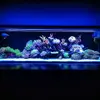 [TodoMarino.com] Micro reef  56 litros