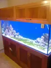 [TodoMarino.com] Nuevo en marino (desde murcia)