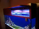 [TodoMarino.com] Nuevo en marino (desde murcia)