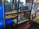 [TodoMarino.com] Nuevo en marino (desde murcia)
