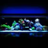 [TodoMarino.com] Micro reef  56 litros