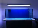 [TodoMarino.com] Recomenzamos