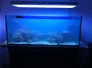 [TodoMarino.com] Recomenzamos