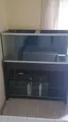 [TodoMarino.com] 325 litros reef aquarium