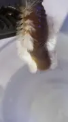 [TodoMarino.com] Menudo bicho!!!!