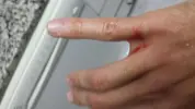 [TodoMarino.com] mordiscos ocellaris