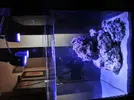 [TodoMarino.com] AM Blenny