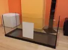 [TodoMarino.com] El acuario de Juancar