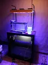 [TodoMarino.com] ♧♣《《Sharpei reef》》♣♧