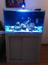 [TodoMarino.com] horas de luz con un foco kessil en un cubo de 80x80