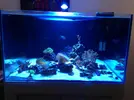 [TodoMarino.com] horas de luz con un foco kessil en un cubo de 80x80