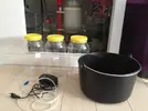 [TodoMarino.com] Mi puesta de ocellaris (reportaje)