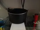 [TodoMarino.com] Mi puesta de ocellaris (reportaje)
