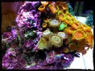 [TodoMarino.com] Mi pequeño "cachito de oceano"