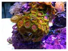 [TodoMarino.com] Mi pequeño "cachito de oceano"