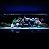 [TodoMarino.com] Micro reef  56 litros