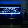 [TodoMarino.com] Micro reef  56 litros