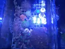 [TodoMarino.com] Mi acuario despues de 6 meses