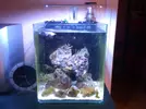 [TodoMarino.com] Mi acuario despues de 6 meses