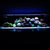 [TodoMarino.com] Micro reef  56 litros