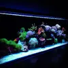 [TodoMarino.com] Micro reef  56 litros