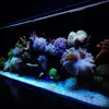 [TodoMarino.com] Micro reef  56 litros