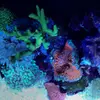 [TodoMarino.com] Micro reef  56 litros