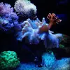 [TodoMarino.com] Micro reef  56 litros
