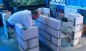 [TodoMarino.com] Algunos Cambios