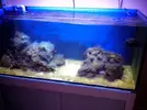 [TodoMarino.com] Reef Island 480L