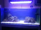 [TodoMarino.com] Reef Island 480L