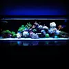 [TodoMarino.com] Micro reef  56 litros