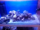 [TodoMarino.com] Reef Island 480L