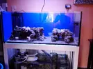 [TodoMarino.com] Reef Island 480L