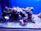 [TodoMarino.com] Reef Island 480L