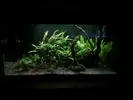 [TodoMarino.com] Nuevo en marino, proyecto 150l+sump desde Valencia.