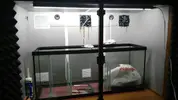 [TodoMarino.com] Hola soy juan , nuevo en marino aqui dejo un resumen de mi acuario que empece a ciclar el 17-3-2017