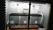 [TodoMarino.com] Hola soy juan , nuevo en marino aqui dejo un resumen de mi acuario que empece a ciclar el 17-3-2017