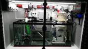 [TodoMarino.com] Hola soy juan , nuevo en marino aqui dejo un resumen de mi acuario que empece a ciclar el 17-3-2017