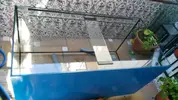 [TodoMarino.com] Hola soy juan , nuevo en marino aqui dejo un resumen de mi acuario que empece a ciclar el 17-3-2017