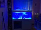 [TodoMarino.com] Mi marino mix 430