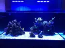 [TodoMarino.com] Mi marino mix 430