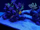 [TodoMarino.com] Mi marino mix 430