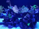 [TodoMarino.com] Mi marino mix 430