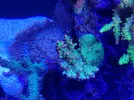 [TodoMarino.com] Mi marino mix 430