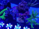 [TodoMarino.com] Mi marino mix 430