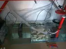 [TodoMarino.com] Problema caudal subida y bajada
